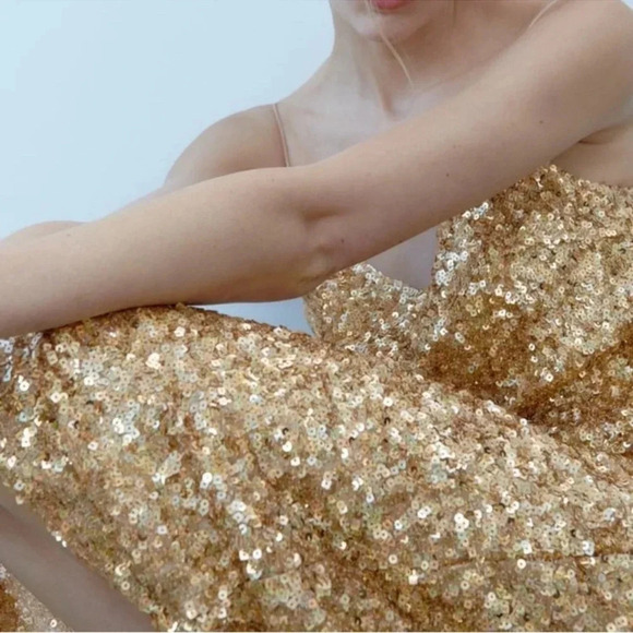 NWT Zara Sequin Slip Dress Limited Edition - Picture 7 of 14